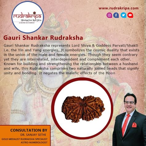 Gauri Shankar Rudraksha represents Lord Shiva & Goddess Parvati/Shakti i.e. the Yin and Yang energies. It symbolizes the cosmic duality that exists in the union of the male and female energies. Though they seem contrary yet they are interrelated, interdependent and complement each other.  Consult with DR. SANJAY SETHI, and get the best solution to your problems.  Call Us at +91-9560498552   #Rudraksha #Benefits #Meditation #Dhyan #Yog #Types #Faith #Religious #Prosperity Shiva Goddess, Rudraksha Benefits, Shiva Wallpapers, Sanatan Dharam, Gauri Shankar, Goddess Parvati, Rudraksha Mala, Yang Energy, Shiva Wallpaper