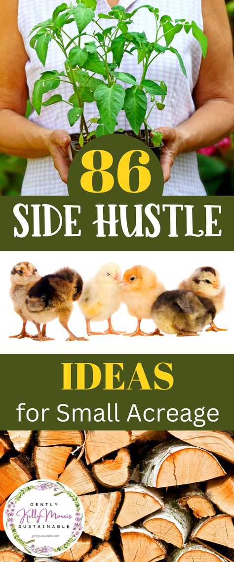 Farm Market Ideas, Homesteading Diy, Ideas To Make Money, Homestead Farm, Farm Business, Homesteading Skills, Side Hustle Ideas, Diy Money, Living Off The Land