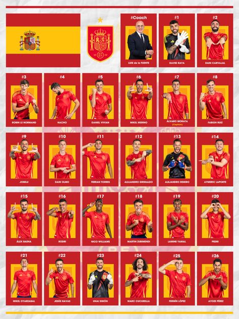 Spain Soccer Team, Portugal Euro, Football Cartoon, Spain Soccer, Spain Football, Foot Ball, Football Poster, World Football, Age 10