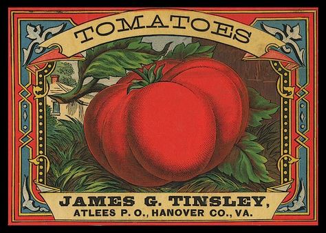 Tomatoes150    And THIS PLACE is the motherload of eclectic ephemera Vintage Food Labels, Vegetable Crate Labels, Fruit Health, Vintage Seed Packets, Vintage Crate, Etiquette Vintage, Fruit Crate, Crate Label, Vintage Packaging