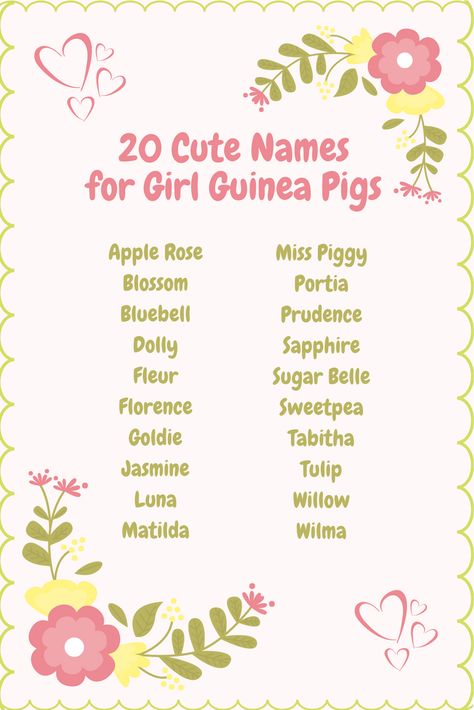 Cute Names For Rabbits, Cute Names For Hamsters, Pig Names Ideas, Guinea Pig Names Male, Cute Bunny Names List, Guinea Pig Names Girl, Cute Pet Names Animals, Cow Names Ideas, Names For Bunnies