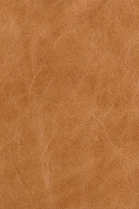 Jamie Stern Antiquity Leather Tenis Party, Leather Texture Seamless, Cafe Design Inspiration, Brown Leather Texture, Kids Bedroom Furniture Design, English Club, Leather Sofa Living Room, Interior Architecture Drawing, Jacket Collection