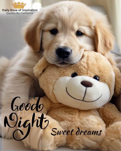 Sleep Well Quotes Good Night, Goodnight God Bless, Sweet Dreams Messages, Cute Good Night Messages, Goodnight Pictures, Goodnight Blessings, Sweet Dreams Pictures, Good Night Sleep Well, Good Night Qoutes