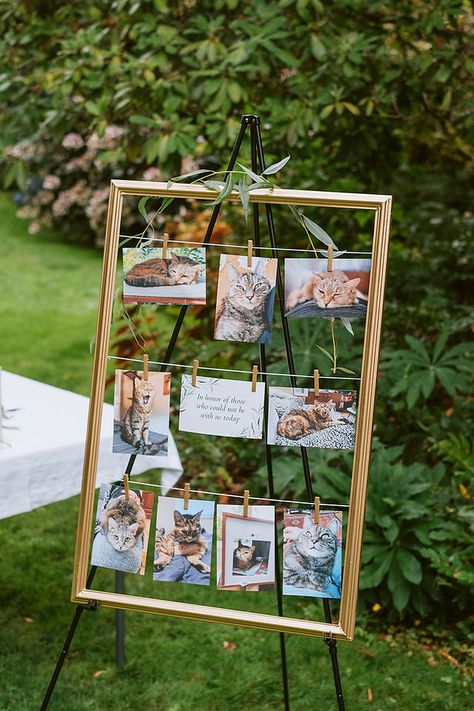 Order Of The Day Wedding, Zoo Wedding, Simple Wedding Centerpieces, Wedding Notes, Cat Wedding, Wedding Pets, Wedding 2025, Future Wedding Plans, Wedding Pins