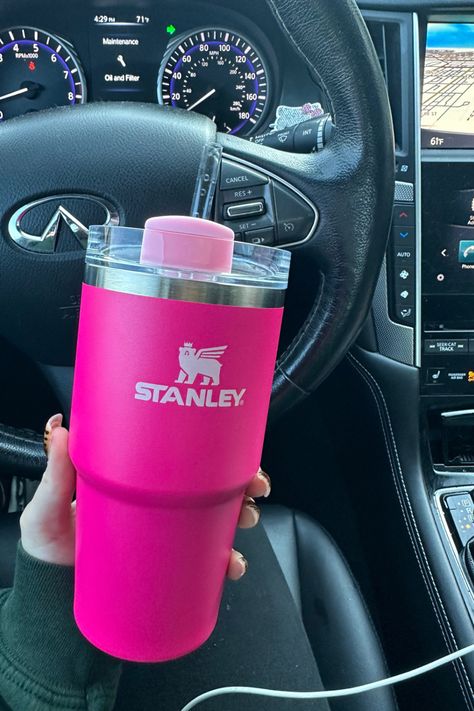 Mini Pink Stanley, Stanley Cup Mini, Pink Stanley Cup Aesthetic, Baddie Necessities, Mini Stanley Cup, Stanley Cup Pink, Pink Stanley Cup, Wings Sculpture, Car Keychain Ideas