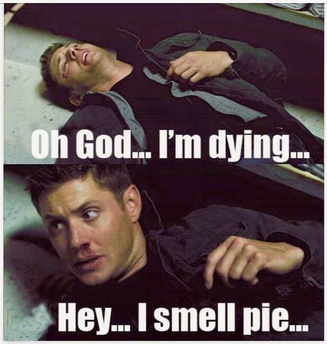 Holiday Meme, Supernatural Jokes, Supernatural Bloopers, Spn Memes, Supernatural Tattoo, Supernatural Imagines, Supernatural Wallpaper, Supernatural Pictures, Supernatural Quotes