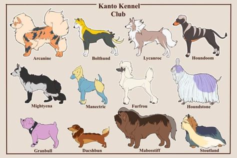 Dog Pokemon, Pokemon Breeds, Cute Pokemon Pictures, Pokemon Pokedex, Pokemon Special, Cute Pokemon Wallpaper, Pokemon Teams, Cartoon Crossovers, Pokemon Fan Art