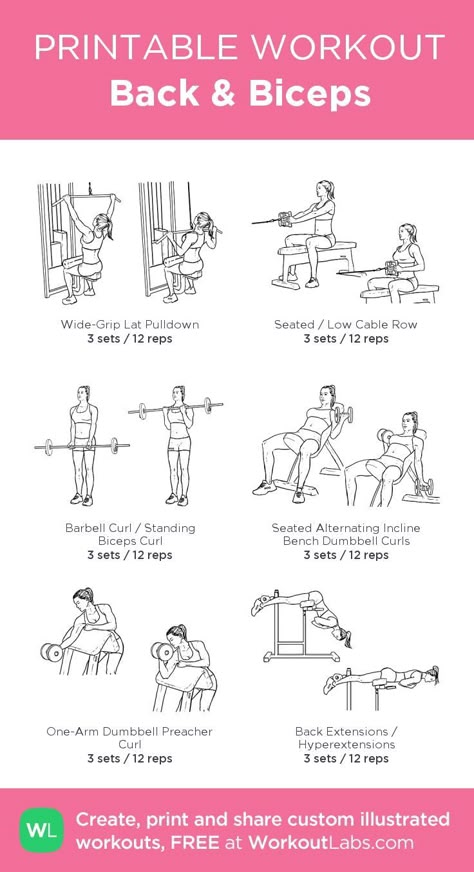 Rutina de bíceps Bicep Routine, Back And Bis, Back And Bicep Workout, Workout Morning, Workout Labs, Back Workout Women, Printable Workout, Gym Workout Plan For Women, Printable Workouts