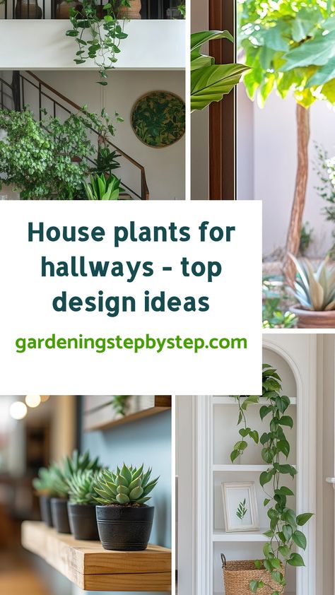 House plants for hallways, featuring design ideas with various green plants in stylish indoor settings. Entryway Plants Indoor, Best House Plants, Hallway Design Ideas, Space House, Bird Of Paradise Plant, Foyer Entrance, Paradise Plant, Hallway Design, Prayer Plant