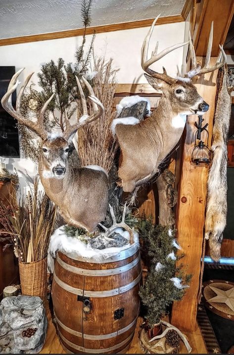 Antler Shed Display Ideas, Deer Mounts Ideas, Cool Deer Mounts, Pallet Dyi, Hunting Mounts, Deer Shoulder Mount, Deer Mount Decor, Taxidermy Shop, Deer Mount Ideas