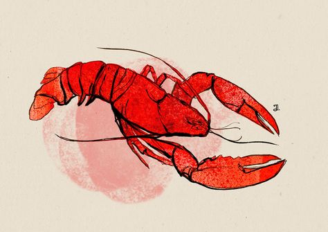 Lobster Drawing, Lobster Illustration, Web Illustration, Lobster Design, Drawing Digital Art, Upper And Lowercase Letters, Drawing Digital, Ocean Art, Get A Tattoo