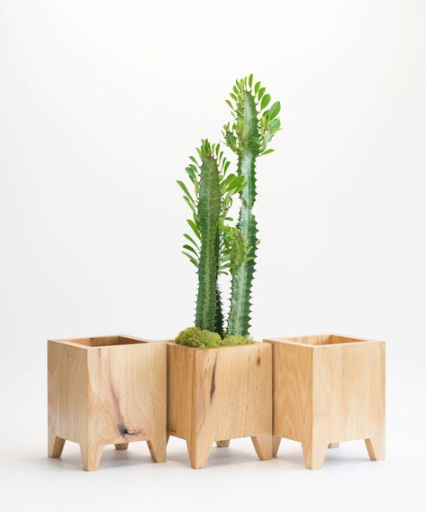 • Handcrafted indoor modern planter made of reclaimed hickory hardwood • Finished with organic beeswax and FDA-approved food-grade oil • Epoxy-waterproofed interior. Drainage holes can be added for free • Measures W: 4.75, D: 4.75, H: 6.50 (plant not included) • Custom order available - it can be stained or be made in larger dimensions Contemporary design with a retro twist! This indoor planter combines art-led Cubist looks with the rustic elements of natural hickory hardwood. Wood Flower Pots, Wood Plant Pot, Wooden Succulent Planter, Diy Planters Indoor, Wood Succulent Planter, Kaktus Dan Sukulen, Succulents Drawing, Mid Century Modern Planter, Succulent Planter Diy