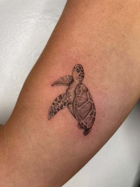 Fiji Turtle Tattoo, Turtle Tattoo Thigh, Sea Turtle Tattoo For Women, Fine Line Turtle Tattoo, Sea Animals Tattoo, Hawaiian Turtle Tattoos, Small Turtle Tattoo, Turtle Tattoos, Seashell Tattoos