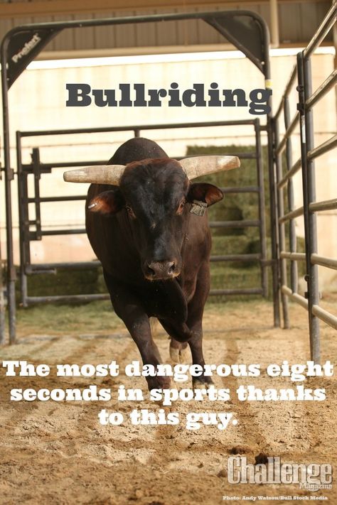 Bull Riding Quotes, Pbr Bull Riding, Rodeo Quotes, Bucking Bulls, Bronc Riding, Professional Bull Riders, Rodeo Time, Cowgirl Quotes, Riding Quotes