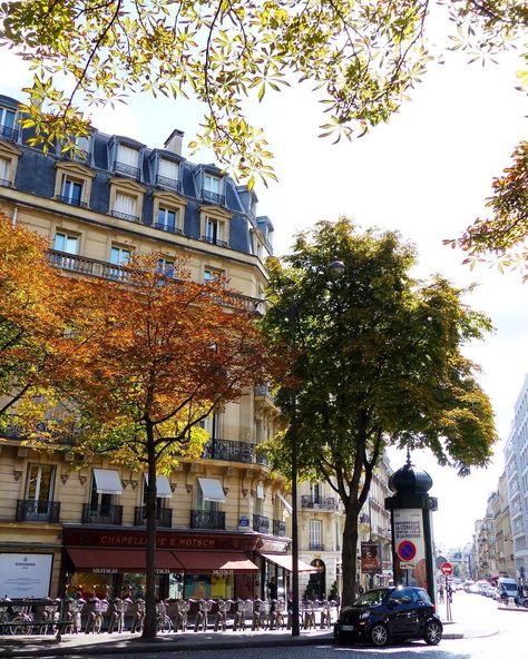 Beautiful autumn light in Paris 🍁✨🍂 Paris Road, French Notes, Streets In Paris, Paris In The Fall, Paris In Autumn, Beautiful Paris, Autumn Lights, Luxury Destinations, Living In Paris