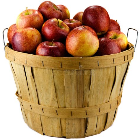 Basket of Apples. Apples sitting in a wooden basket isolated on white background , #SPONSORED, #sitting, #wooden, #Basket, #Apples, #white #ad Bushel Of Apples, Basket Of Apples, Apple Stock, Wooden Basket, Apple Filling, Fall Apples, Recipe Images, Red Apple, Painting Inspiration