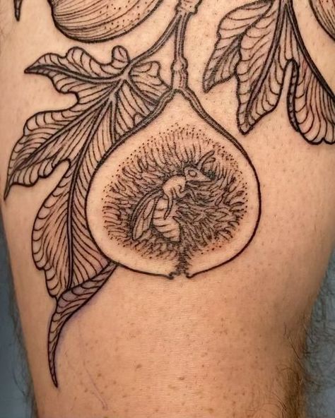 Maggie on Instagram: "Fig wasps 😊 Thank you Sam!" Fig Beetle Tattoo, Mole Animal Tattoo, Fig Flower Tattoo, Fig Leaves Tattoo, Woodcut Tattoo Nature, Bug Sleeve Tattoo, Fig Branch Tattoo, Orchard Tattoo, Carnivorous Plant Tattoo