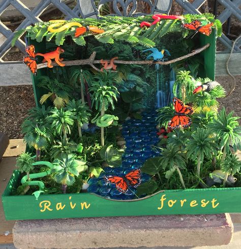 Rainforest Habitat Diorama (animals Are Printable Shoebox Habitat, Rain Forest Diorama, Ecosystems Diorama, Rainforest Crafts, Habitat Project, Rainforest Ecosystem, Rainforest Project, Biomes Project, Rainforest Biome