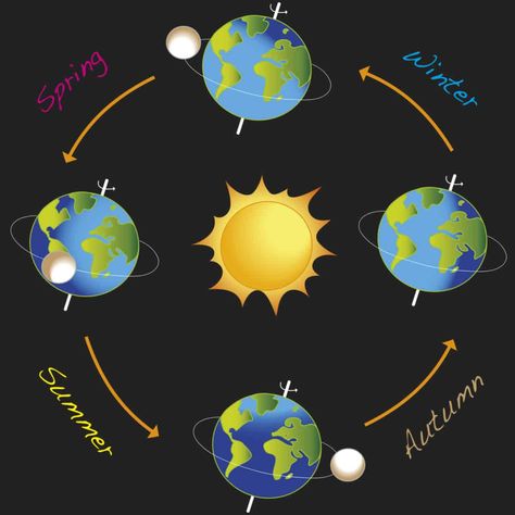 Earth Science Projects, Winter Solstice Traditions, Earth Seasons, World History Facts, Winter Solstice Celebration, Solstice And Equinox, Solstice Celebration, Pagan Spirituality, School Celebration