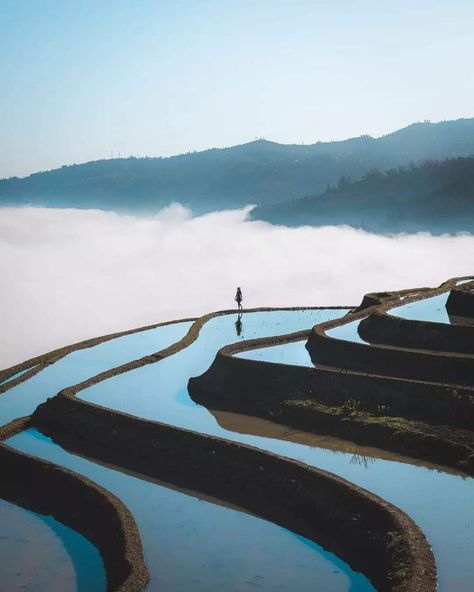 Terrace Farming, I Do Believe In Fairies, Farming Land, Chinese Places, Believe In Fairies, China Travel Guide, Rice Paddies, Chinese Aesthetic, Tropical Fashion