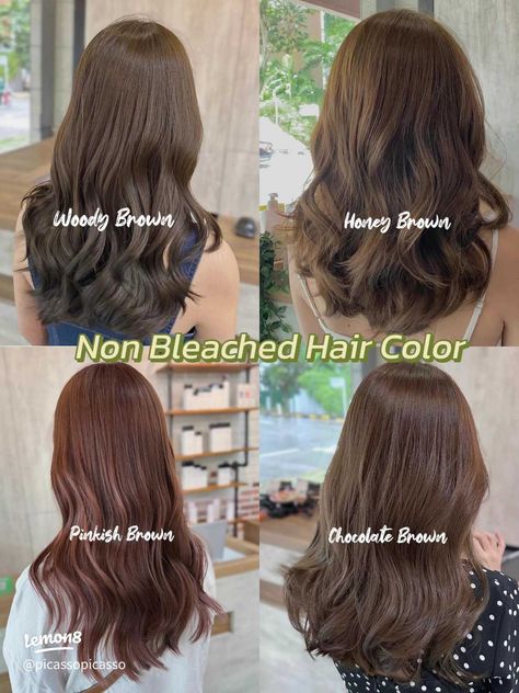 Trending Non Bleached Hair Color | Gallery posted by Picasso Hair | Lemon8 Milktea Ash Brown Without Bleach, Hair Color Simple Natural, Brown No Bleach Hair, Minimalist Hair Color, Light Brown Without Bleach, Haircolour Without Bleaching, No Dye Hair Color, Brown Hair For Tan Skin Tone, Ash Brown No Bleach