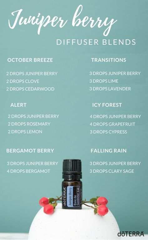 Juniper Berry Diffuser Blends Juniper Essential Oil, Juniper Berry Essential Oil, Doterra Essential Oils Recipes, Essential Oil Diffuser Blends Recipes, Essential Oils Health, Essential Oil Diffuser Recipes, Oil Diffuser Recipes, Essential Oil Blends Recipes, Essential Oil Mixes