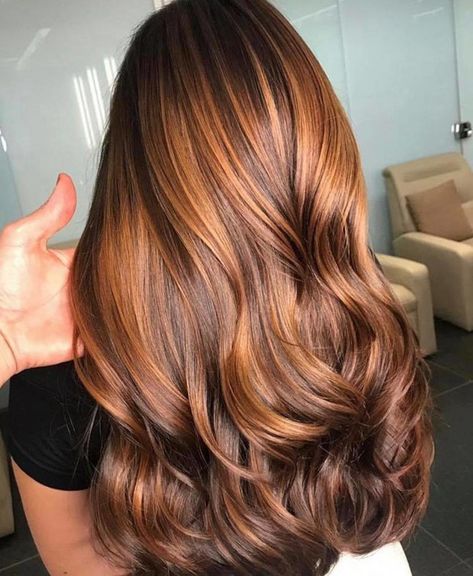 The Mesmerizing Apple Cider Hair Color is Trending for Fall Apple Cider Hair, Balayage Medium, Blonde Ideas, Hair 50, 2020 Aesthetic, Aesthetic Blonde, Honey Brown Hair, Ball Hairstyles, Caramel Hair