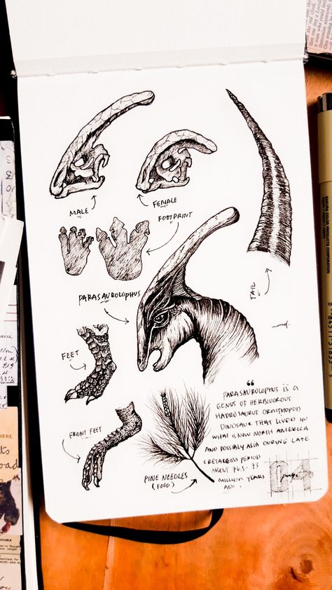 Dino Sketch, Dinosaur Journal, Dino Drawing, Ink Sketchbook, Dinosaur Projects, Dino Art, Dinosaur Facts, Dinosaur Sketch, Animals Tattoo