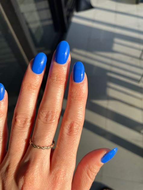 Bright blue nails, blue gel nails, rounded blue nails, royal blue gel nails, gel nail colour ideas 2023, nail inspo, blue nail colours, nail inspo 2023, Blue Gel Extension Nails, Bold Blue Nails, Royal Blue Oval Nails, Blue Solid Nails, Plain Blue Nails, Royal Blue Gel Nails, Solid Blue Nails, Vibrant Blue Nails, Blue Gel Manicure