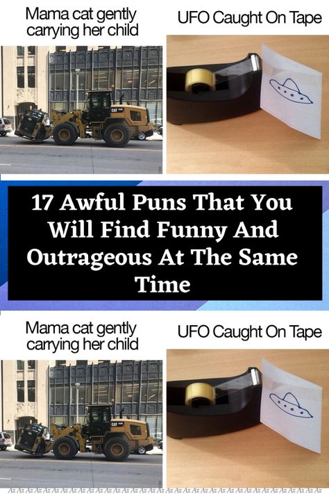 Awful Puns, No Pun Intended, Tattoos With Kids Names, Life Choices Quotes, Tuesday Humor, Baby Memes, Funny Animal Quotes, Mama Cat, Pinterest Marketing