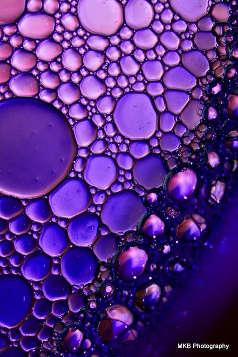 Oil and Water - by Mandy Brown   ~ Purple Oil Water Photography, Oil And Water Photography, Bubbles Photography, Microscopic Photography, Oil And Water, Water Projects, Bubble Art, Water Bubbles, Water Photography