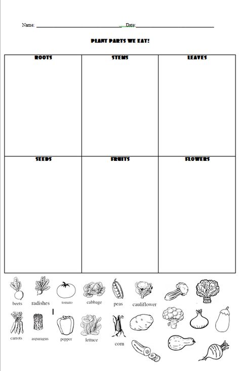 Plant Parts We Eat Worksheet, Plant Parts Worksheet, Kindergarten Science Projects, Plants Kindergarten, Plant Lessons, Plants Worksheets, Plants Unit, Plant Parts, Classroom Science