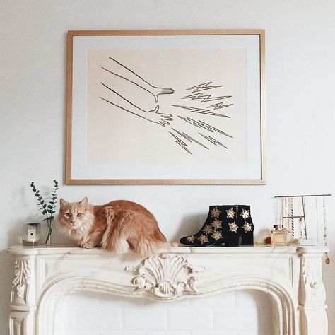 Looks like a really really comfortable place to hang out great work  (isnt he so cute though?!) Kate Spiers, Room Arrangement, Arrangement Ideas, Comfortable Place, Sea Animal, Studio Mcgee, Oil Burner, Decoration Inspiration, 6k Followers