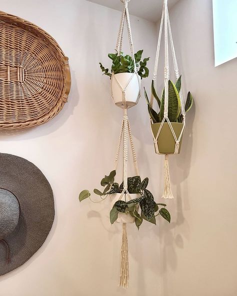 Hang Plants From Ceiling, Install Floating Shelves, Double Macrame Plant Hanger, Double Plant Hanger, Indoor Plant Hangers, Wall Macrame, Easy Care Houseplants, Indoor Plant Wall, Plant Goals