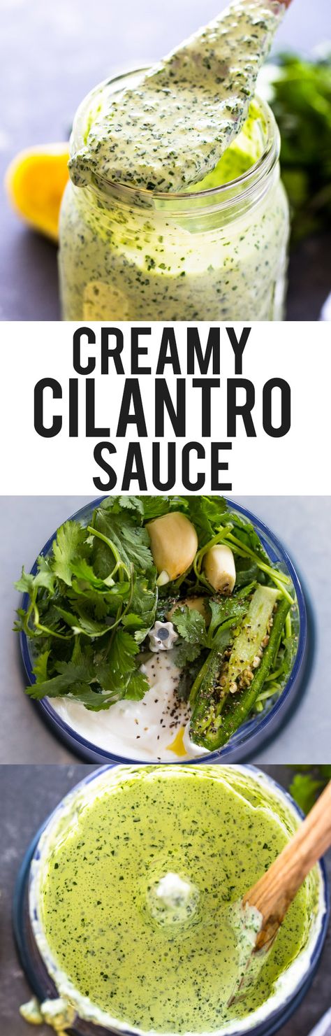 Cilantro Sour Cream Sauce, Creamy Cilantro Sauce, Cilantro Garlic Sauce, Fruit Dips, Cilantro Sauce, Tapenade, Salad Dressing Recipes, Cilantro Lime, Homemade Sauce