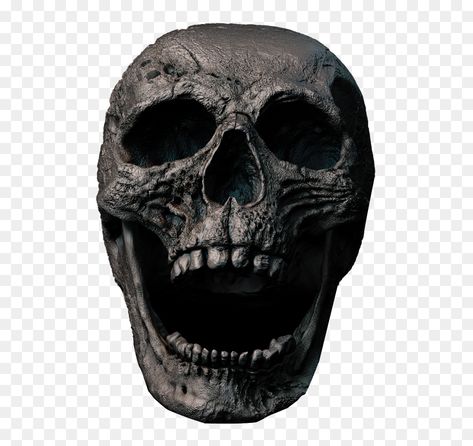 Skull Transparent, Free Green Screen Backgrounds, Scary Skeleton, Fb Profile Photo, Simple Skull, Skeleton Face, Skull Face Mask, Free Green Screen, Face Png