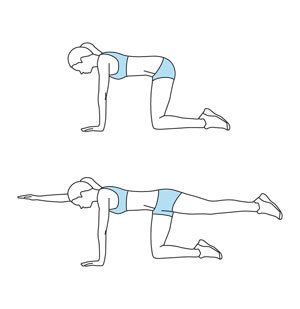 Move 1: Bird-Dog Bird Dog Exercise, Abs Excercise, How To Start Exercising, Workout Pics, Oblique Workout, Physical Therapy Exercises, Bird Dog, Dog Exercise, Goals Inspiration