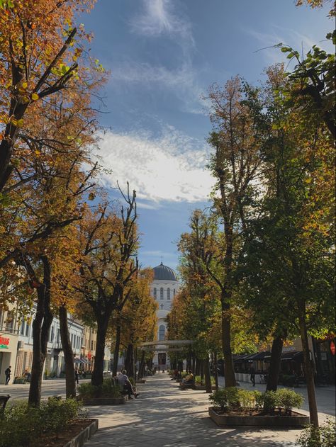 kaunas, avenue,church, city, lithuania,travel ideas, travel inspo, fall Kaunas Lithuania Aesthetic, Lithuanian Aesthetic, Baltics Travel, Lithuania Aesthetic, Lithuania Kaunas, Lithuania Travel, Kaunas Lithuania, Baltic Countries, Europe Summer