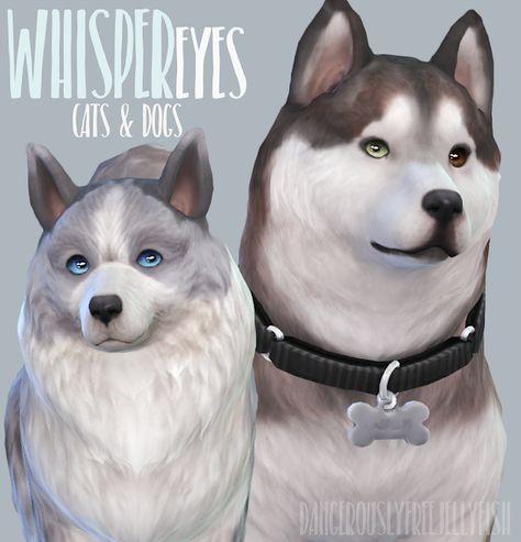 Sims 4 | Whisper Eyes for Cats & Dogs EP05 Pet Dog Pictures, Sims Pets, Sims 4 Cc Eyes, Sims 4 Cc Shoes, Sims 4 Mm Cc, Sims 4 Cc Folder, Sims 4 Mm, Sims 4 Collections, Sims 4 Cas