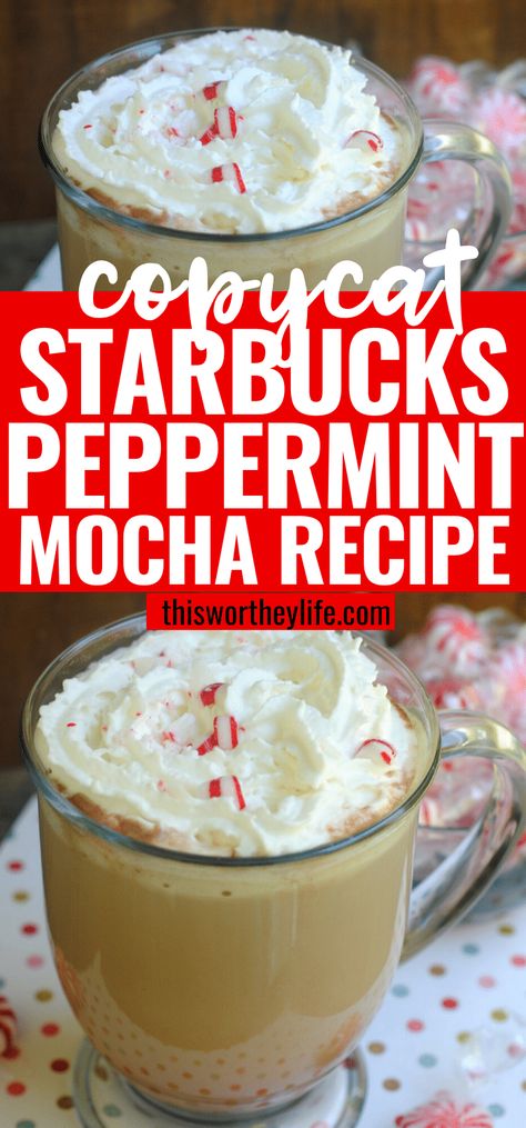 Starbucks Peppermint Mocha Recipe, Peppermint Mocha Frappuccino, Mocha Latte Recipe, Homemade Peppermint Mocha, Peppermint Mocha Recipe, Mocha Drink, Black Buck, Peppermint Coffee, Starbucks Peppermint Mocha