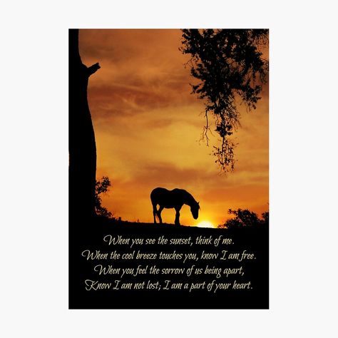 "Beautiful Spiritual Horse Sympathy Poem Tribute Memorial" Greeting Card for Sale by Stephanie Laird | Redbubble Losing A Horse, Horse Remembrance, Horse Loss, Sympathy Poems, A Horse, To My Daughter, Greeting Card, Spirituality, Greeting Cards