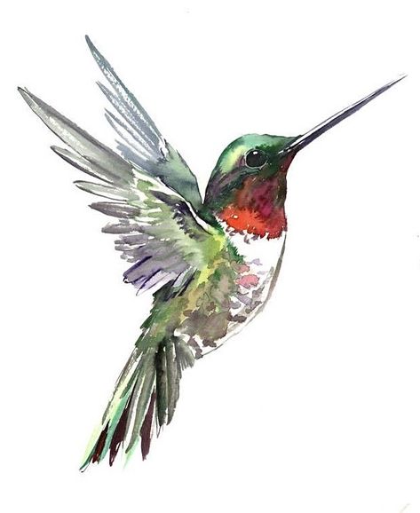 Tatoo 3d, Hummingbird Drawing, Hummingbird Pictures, Watercolor Hummingbird, Hummingbird Painting, Bird Watercolor Paintings, Hummingbird Art, Cat Air, Watercolor Art Lessons