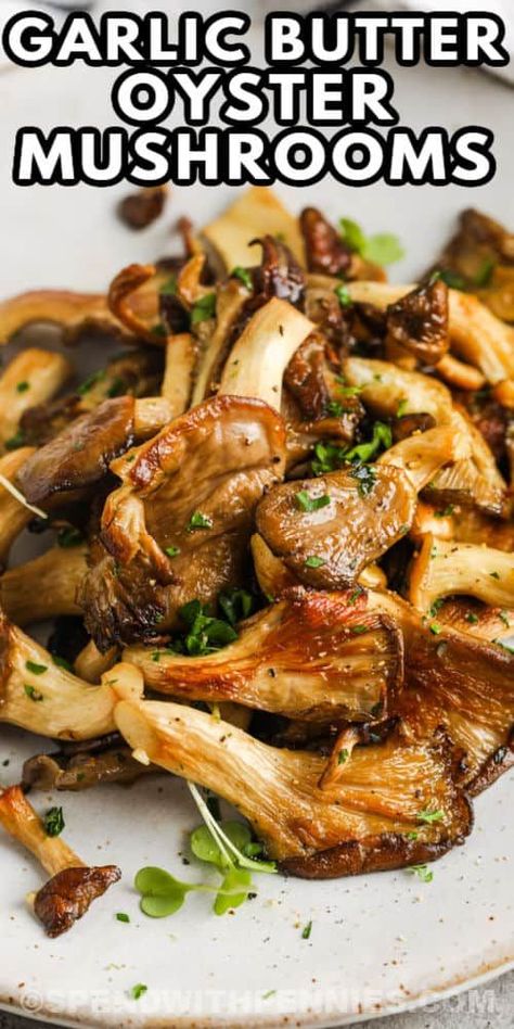 Cook this oyster mushrooms recipe for a simple side dish. Oyster mushrooms are tossed in soy sauce, then sautèed in garlic butter until tender & golden! #spendwithpennies #oystermushrooms #recipe #sidedish #garlicbutteroystermushrooms #garlicbutter #friedmushroom #kingoyster #garlic #pasta #mushrooms Oyster Mushroom Gravy, Oyster Mushroom Soup Recipe, Blue Oyster Mushrooms Recipes Vegan, Italian Oyster Mushroom Recipe, King Blue Oyster Mushroom Recipe, Airfry Mushrooms, Oyster Mushroom Pasta Recipe, Oyster Mushrooms Recipes, King Oyster Mushroom Recipe