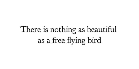 Flying Quotes, Fly Quotes, Life Lesson, Lesson Quotes, Life Lesson Quotes, Birds Flying, Beautiful Birds, Life Lessons, Tattoo Ideas