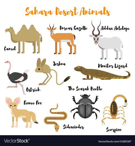 Desert Animals Printable, Desert Animals Activities, Addax Antelope, Animals Icon, Wild Animals Vector, Animal Cutouts, Reading Projects, Desert Animals, Scary Animals