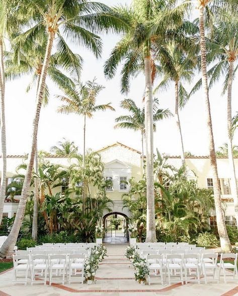 Married in Palm Beach | Palm Beach Wedding Venue | South Florida Wedding | Outdoor Wedding Ceremony | Tropical Beach Wedding Ceremony, Palm Beach Wedding Aesthetic, Wedding Palm Trees, Palm Beach Wedding Invitations, Florida Wedding Flowers, West Palm Beach Wedding Venues, Tropical Modern Wedding, Boho Wedding Ceremony Decor, Glam Beach Wedding