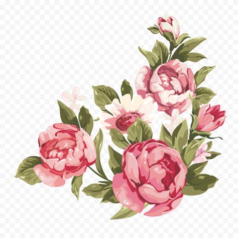 Flowers Without Background Png, Without Background Pictures, Png Flowers Hd, Flowers Without Background, Flowers Png Hd, Pic Template, Pink Flower Png, Watercolor Romantic, Gouache Flowers