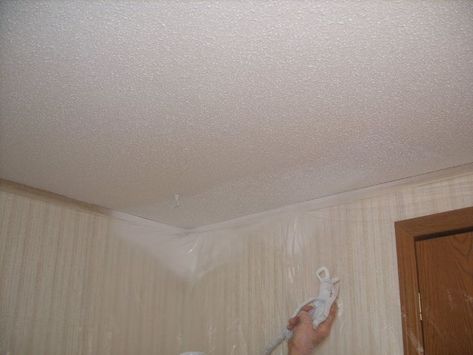 Painting Popcorn Ceiling, Covering Popcorn Ceiling, Diy Resin Tray, Removing Popcorn Ceiling, Concrete Stepping Stones, Clayton Homes, Popcorn Ceiling, Pallet Planter, Flat Panel Cabinets