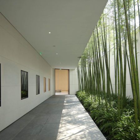 The Times Garden « Landezine International Landscape Award LILA Wine Vault, Green Corridor, Foyer Entrance, New York Studio, Sense Of Place, West Lake, Natural Landscape, Landscape Projects, Contemporary Landscape