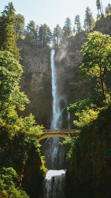 KATHRYN | Adventure Travel on Instagram: "My 5 Must-Visit Places in PNW👇 While the Pacific Northwest may see it’s fair share of risky, gloomy weather (especially in the winter), it also experiences plenty of sunny, dry days as well! July & August are your best bet for getting warmer, drier weather! Plus all that precipitation throughout the year means tons of waterfalls, snowy mountain tops, and vibrant green forests to explore! The PNW is hands down one of my favorite areas of the country to Pacific Northwest Forest, Granola Life, Silver Falls State Park, Sisters Oregon, Pacific Northwest Travel, Gloomy Weather, Visit Places, North Cascades National Park, Multnomah Falls